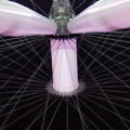 London Eye