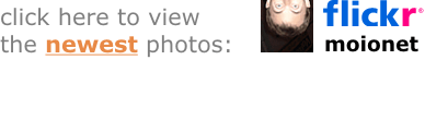 my flickr photostream